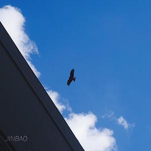 沈阳女人大战黑人28厘米视频
