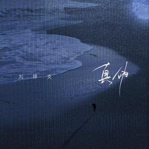 沈阳女人大战黑人28厘米视频
