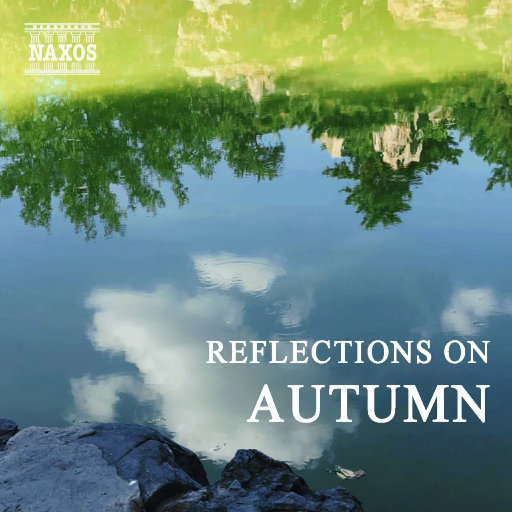 沈阳女人大战黑人28厘米视频
